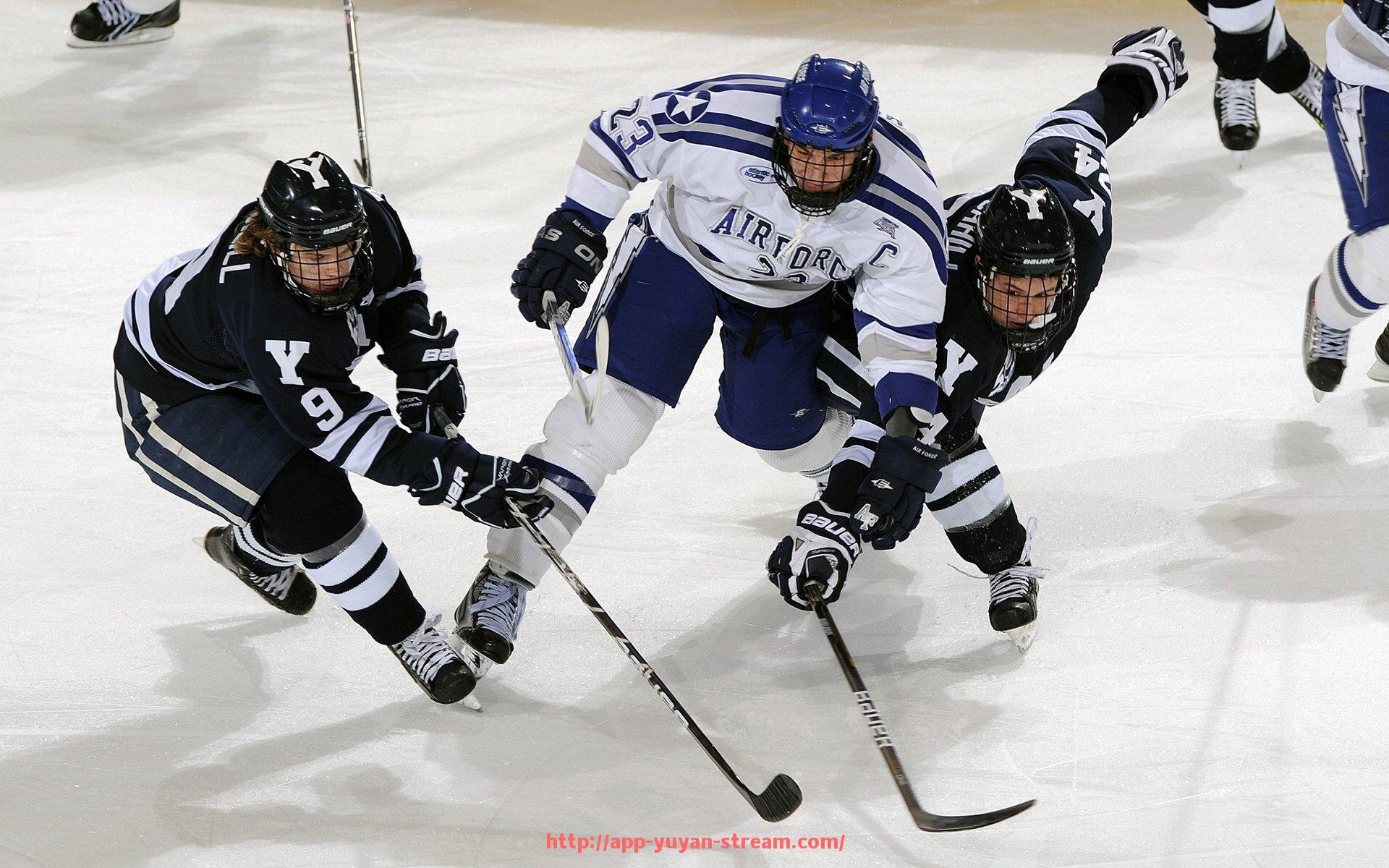 雨燕直播-安全保障升级！世俱杯球迷现场观赛管理细则解读
