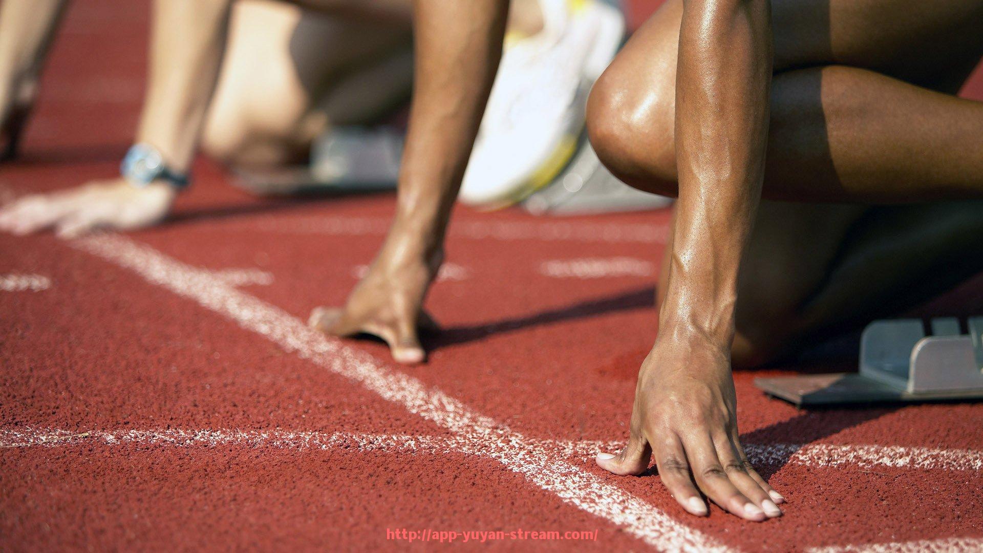 雨燕直播-合同文本实操解析：世俱杯商业合作条款案例解析